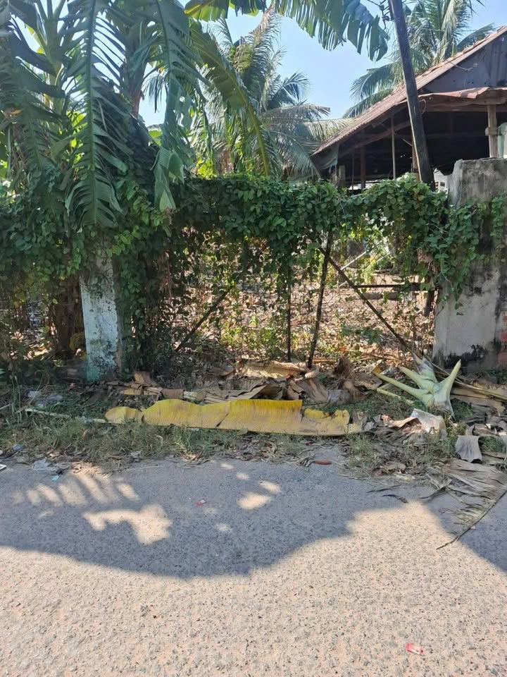 Đất Nền Lợi Thuận, Bến Cầu, Tây Ninh - 100m² Sổ Hồng Thổ Cư