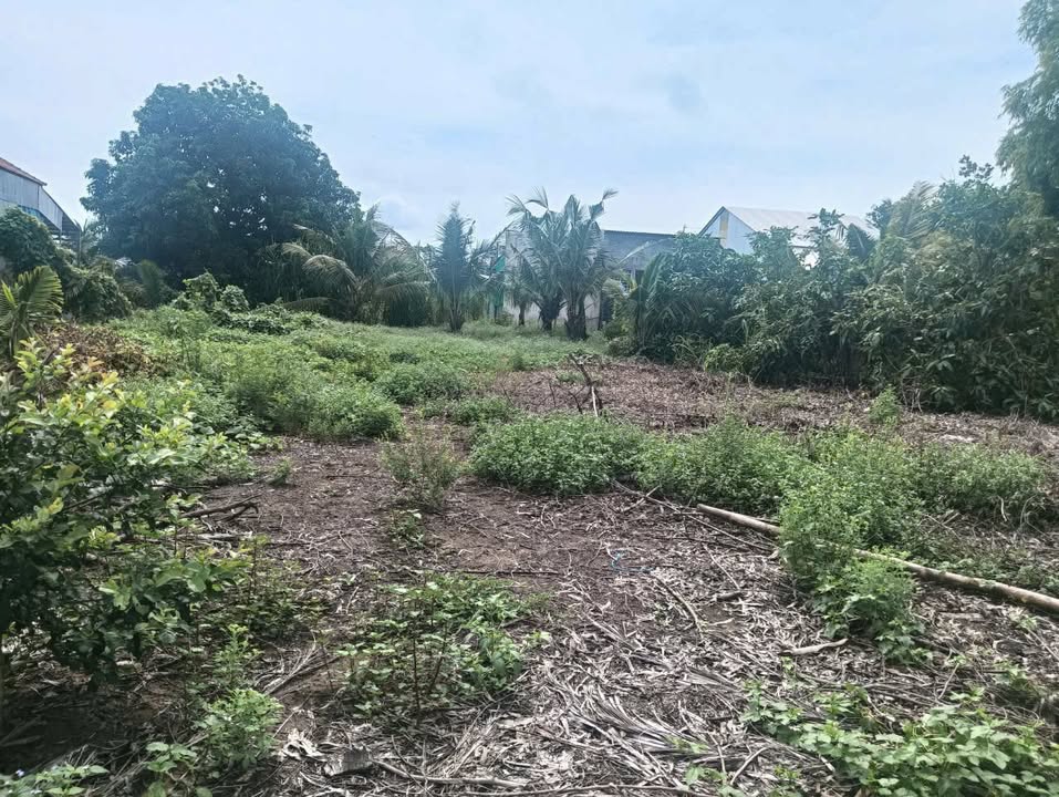 Bán Đất Vườn & Ruộng 22.000m² Xã Cần Đăng, Châu Thành, AG - Giá 3 Tỷ