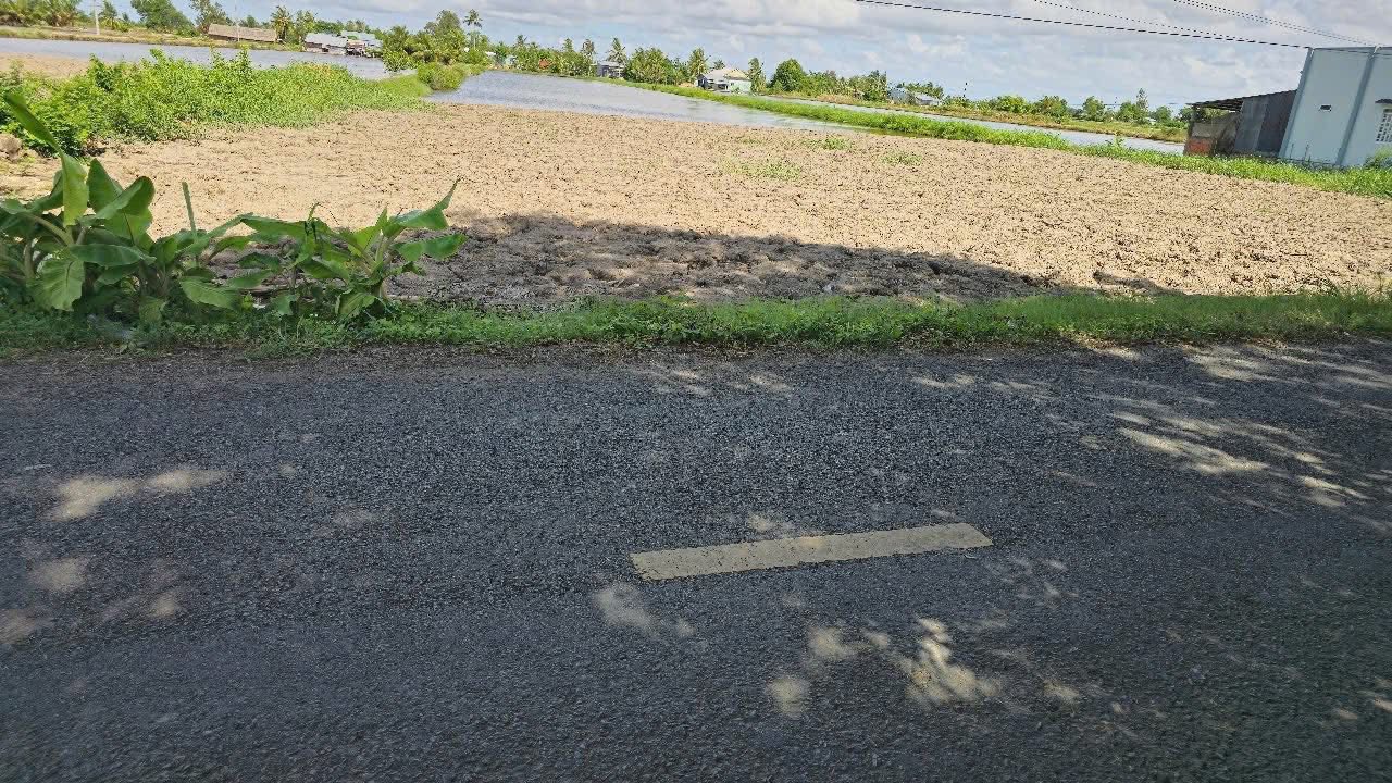 Bán Đất Vàng 2000m² Mặt Tiền Tỉnh Lộ 965 - Kiên Giang - Sổ Đỏ Sẵn Sàng