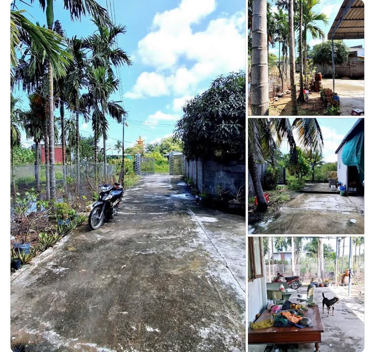 Đất Vườn Rộng 820m² Thôn 3 Hàm Liêm - Sổ Hồng Thổ Cư