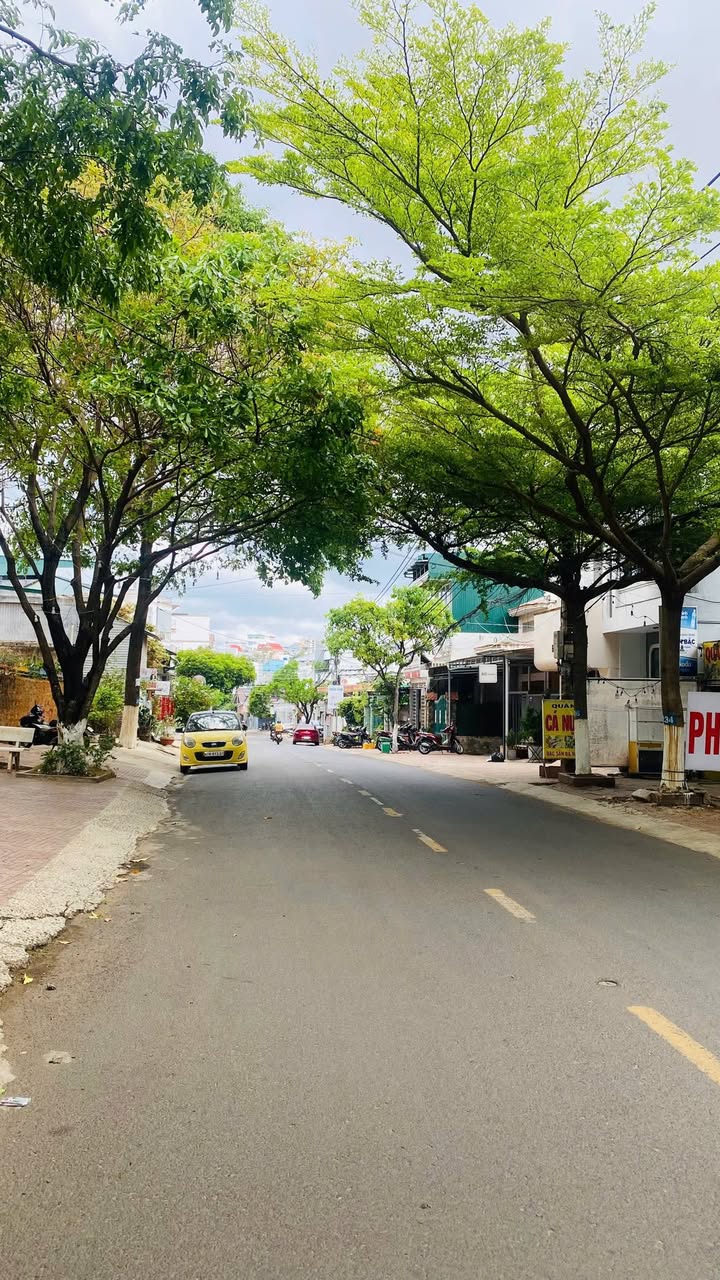 Nhà mặt tiền Nguyễn Công Trứ 219m² 16,5 tỷ, ô tô vào