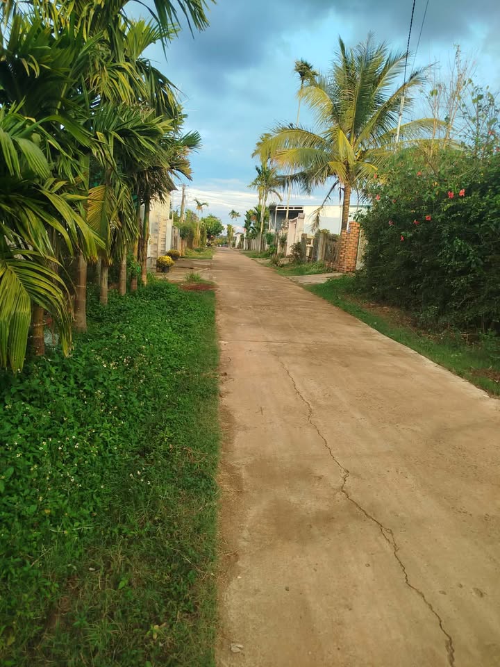 Đất Nền Buôn Ma Thuột 200m² - Mặt Tiền Đường 26a, Hướng Bắc, Giá 1.45 Tỷ