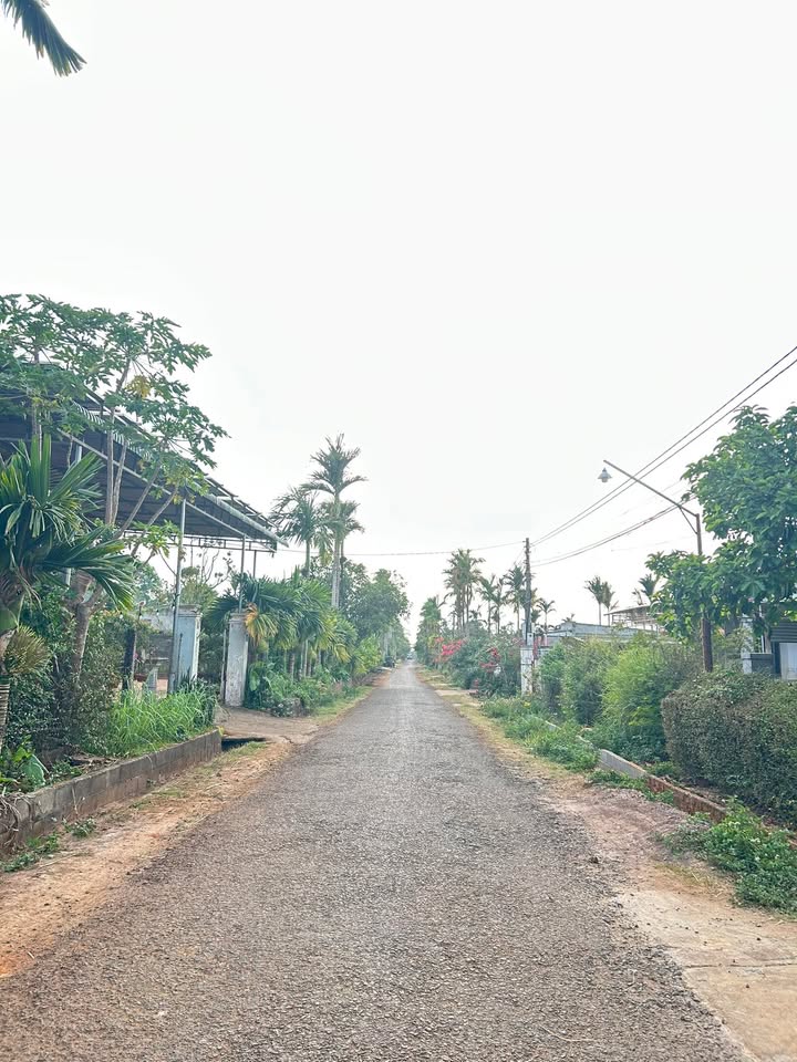 Đất nền Mặt tiền nhựa Tân An, Buôn Ma Thuột - 530m² Thổ cư, Giá 1.9 tỷ