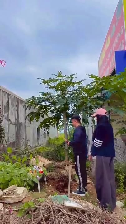 Đất Vàng QL7B Yên Bái - 150m² Kinh doanh Sầm uất, Giá đầu tư