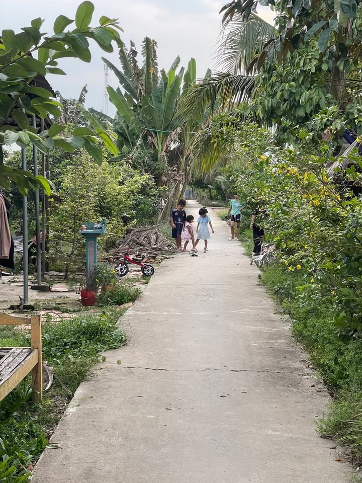 Đất Nền Ấp Đông Mỹ, Thới Lai - 203m² Giá 260 Triệu - Sổ Lúa, Dân Cư Đông Đúc