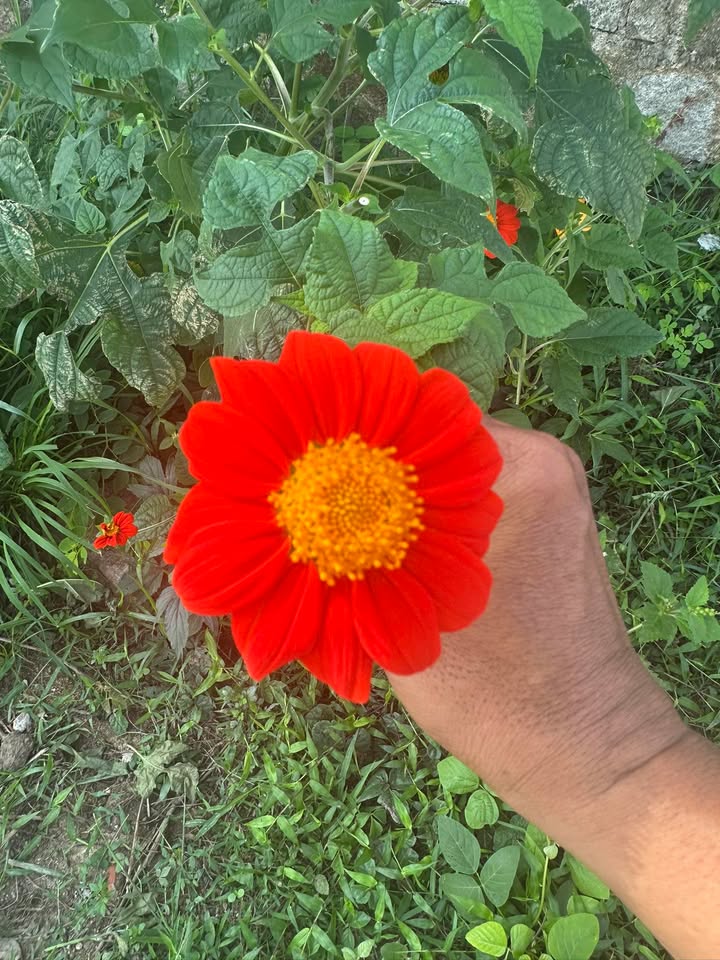 Đất nền Xã Long Điền 102m² giá 300 triệu - Sổ đỏ chính chủ!