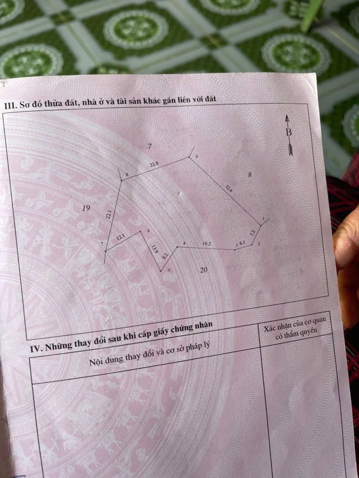 Đất nền Xã Tân Lập, Thanh Sơn 1000m² - Tiềm năng tăng giá!