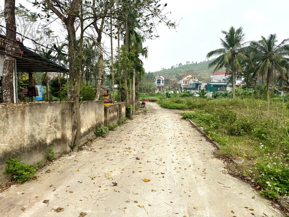 Đất Nền Vĩnh Phúc 200m² - Sổ Đỏ Vuông Vắn Chỉ Hơn 700 Triệu