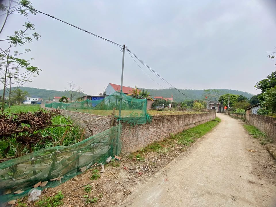 Đất Nền 263m² Tam Nông, Phú Thọ - Giá Đầu Tư 7xxtr