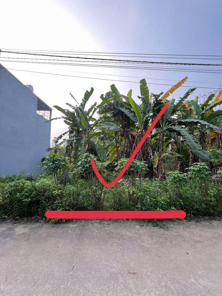 Đất nền Việt Trì 85m² – Sổ đỏ chính chủ, ô tô vào tận nơi!