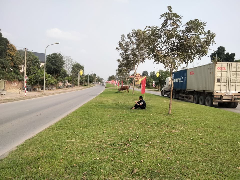 Đất nền Trường Trinh Việt Trì 120m² - Tiềm năng tăng giá!