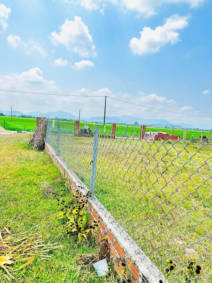 Bán Đất Nền 220m² Thôn Mỹ Đức, Bình Định - Sổ Đỏ Sẵn Sàng