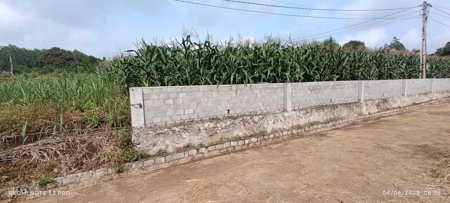 Đất nền Nghĩa Thọ, Nghĩa Đàn 322m² - Sổ đỏ trao tay, chỉ hơn 300 triệu