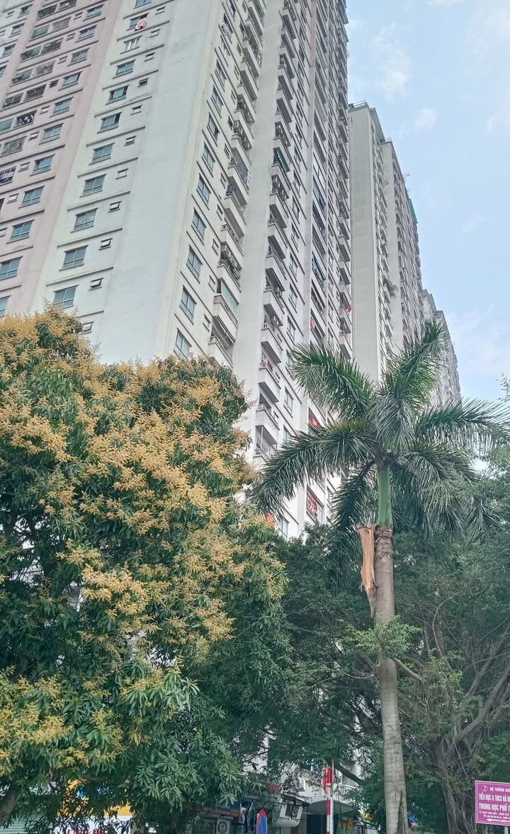 Căn hộ Xa La Hà Đông 60m² - Bàn giao ngay, sổ hồng chính chủ!