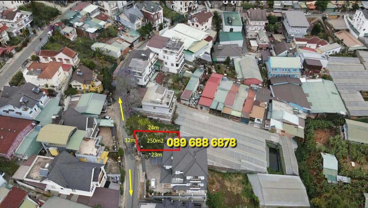 Đất nền Đà Lạt Trần Khánh Dư 250m² - Sổ hồng riêng hiếm có