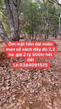 Đất Rẫy Bù Đăng Bình Phước 2.2ha giá 2.5 tỷ - Giá đầu tư tốt!