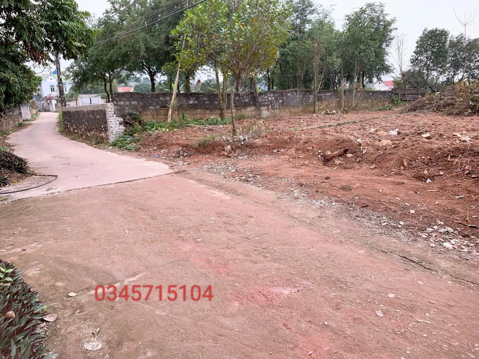 Đất nền Chu Điện Lục Nam 210m² - Sổ đỏ chính chủ, tiềm năng tăng giá!