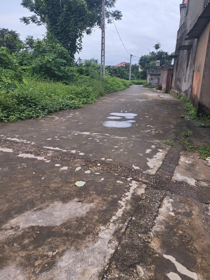 Bán Đất Thổ Cư Ngọc Sơn, Hiệp Hòa 109m² - Đường Ô Tô Thoải Mái