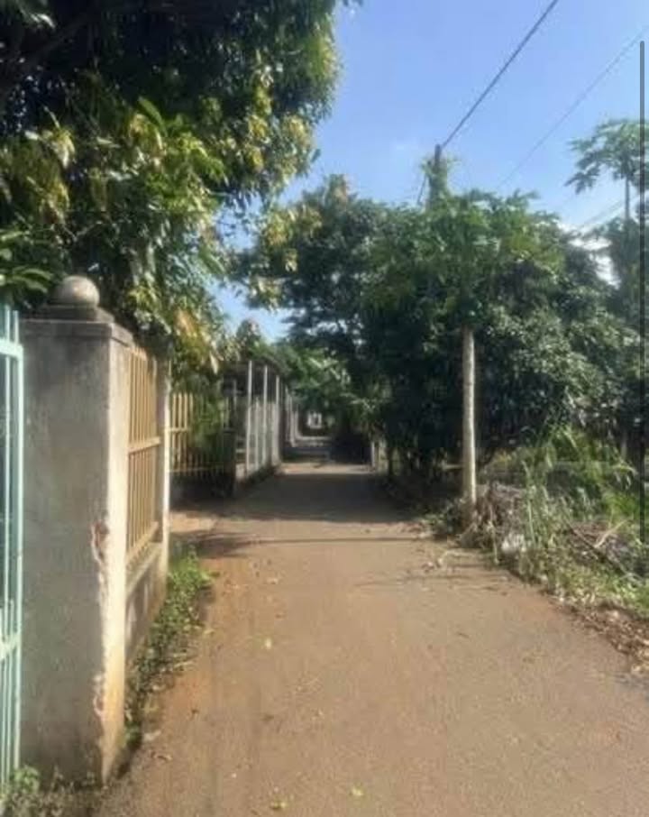 Đất nền Long Tâm, Bà Rịa 865m² - Đất thổ cư 100%!