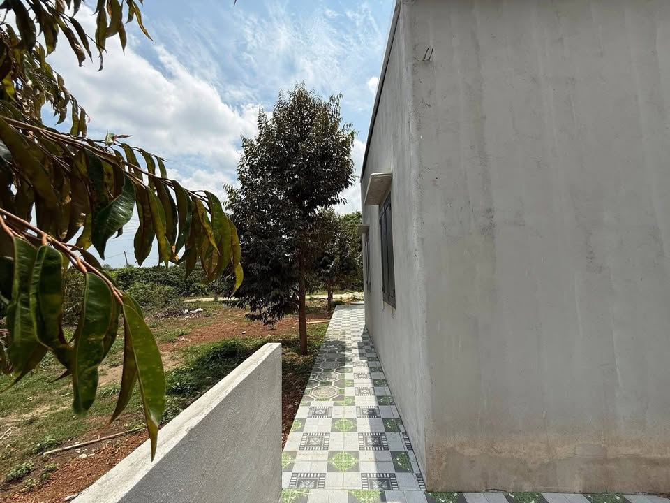 Đất Vườn 1200m² Bình Phước - Sổ Hồng Riêng, Giá 570 Triệu