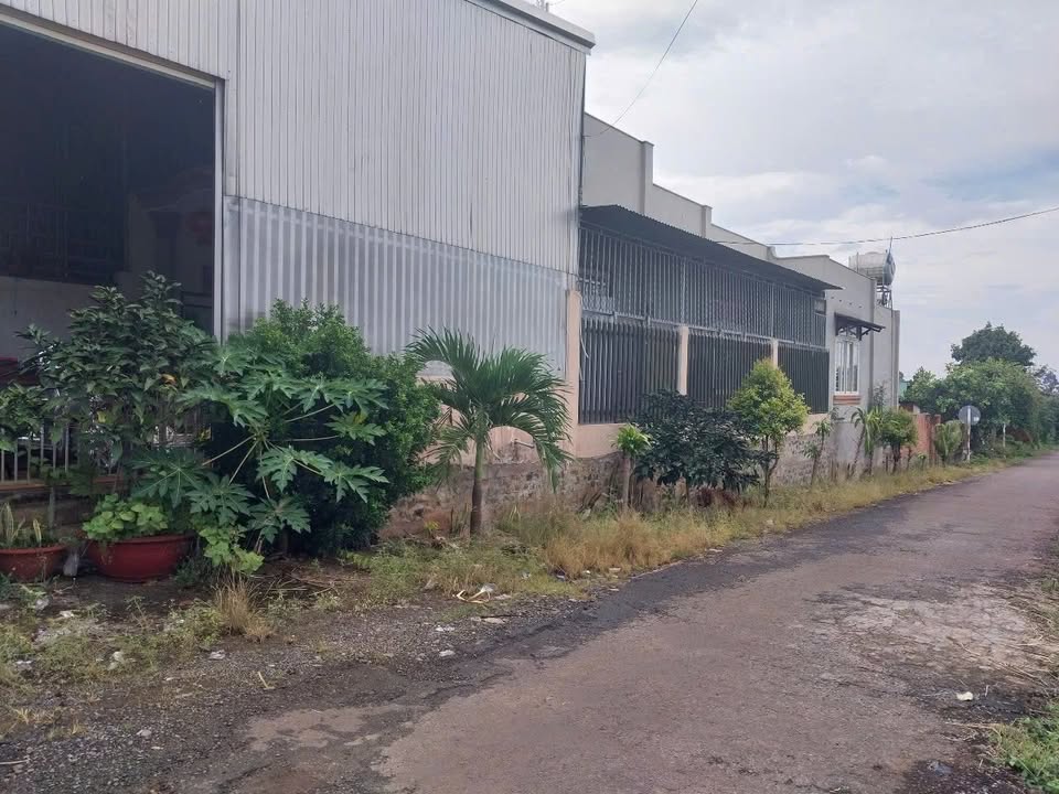 Nhà Phố Quốc lộ 1, Xuân Lộc 335m² giá 4 tỷ - Mặt tiền kinh doanh!