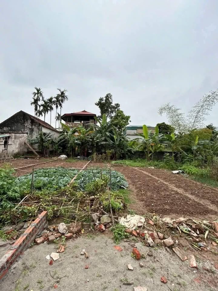 Đất Sổ Đỏ 80m² TDP Tứ Giáp, Duy Tiên - Ngõ Ô Tô, Giá 1 Tỷ