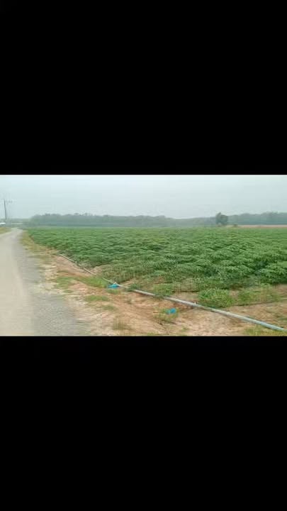 Đất nền Suối Ngô, Tân Châu 22000m² - Đường to ô tô, tiềm năng tăng giá!