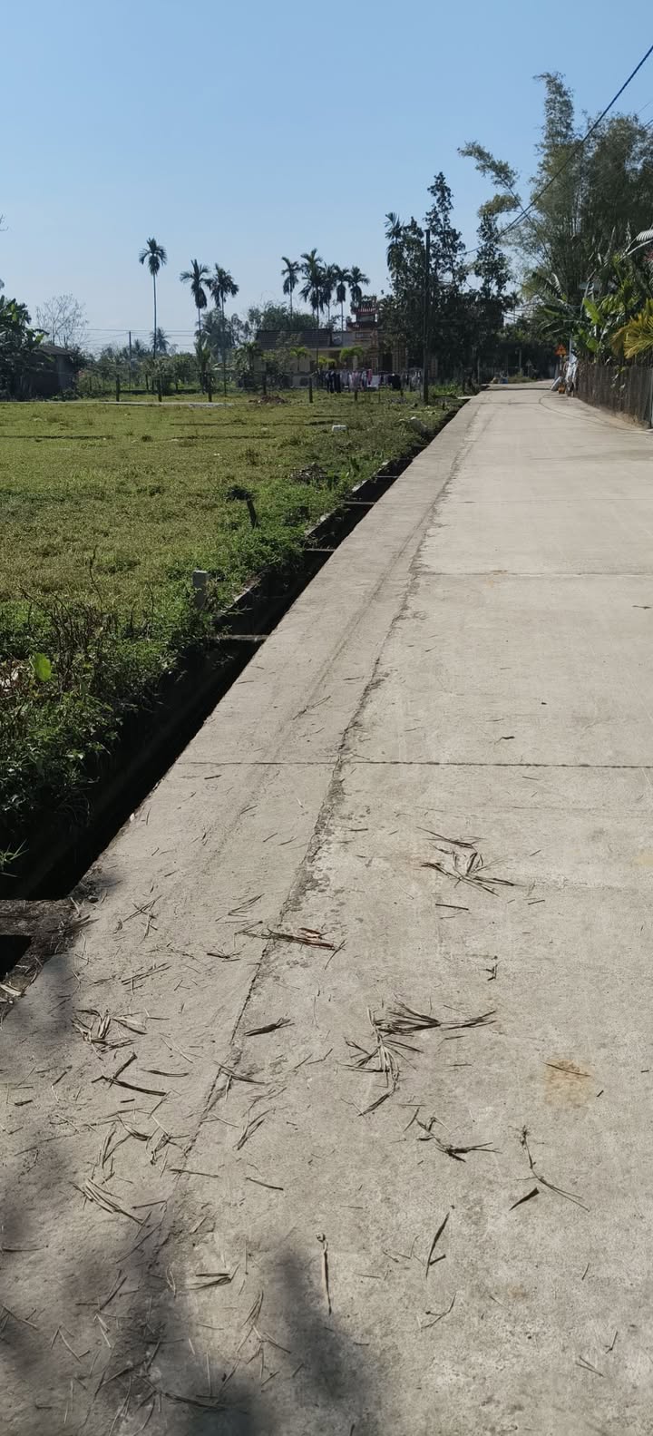 Đất nền Hội An 420m² giá 1.8 tỷ - Giá đầu tư tốt!