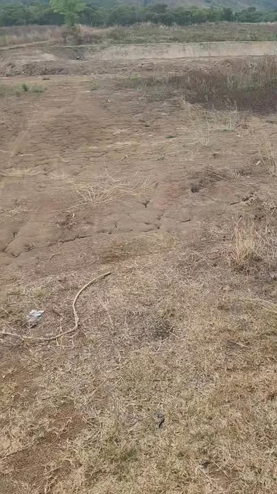 Đất nền Ia Lâu, Chư Prông 30.000m² - Tiềm năng tăng giá vượt trội!