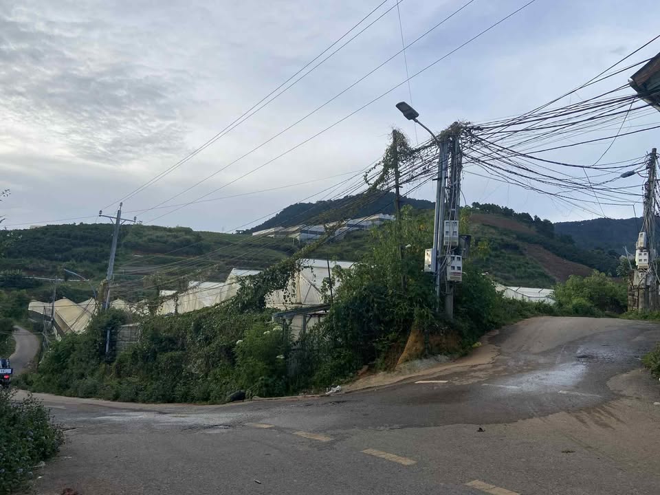 Đất Vàng Đà Lạt 2500m² - 2 Mặt Tiền Lớn, Sổ Đỏ Riêng, Giá 18 Tỷ