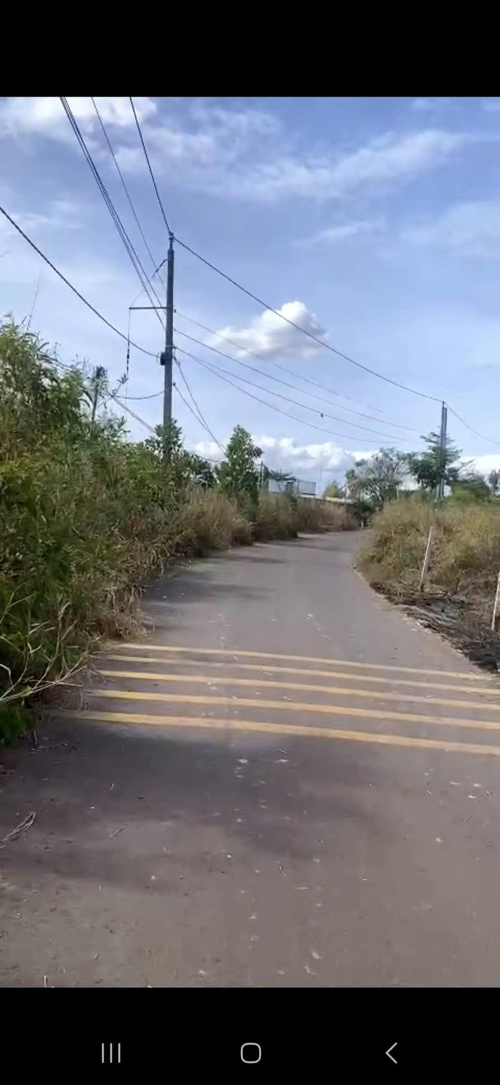 Đất Sào Ngộp 3600m² Sông Trầu, Trảng Bom - Giá Sốc 590 Triệu