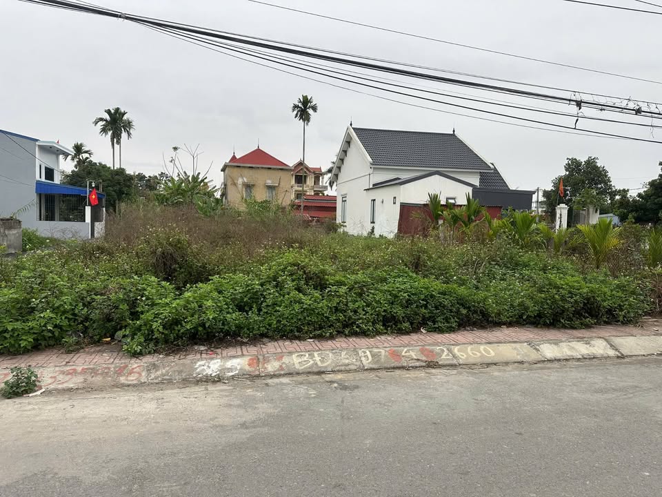 Đất nền 77m² mặt tiền 5m, Đại Đồng, Kiến Thụy - Hơn 2 tỷ