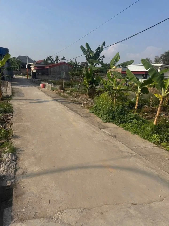 Bán đất An Lão, Hải Phòng 72.7m² - Ngõ ô tô, giá 7xx triệu