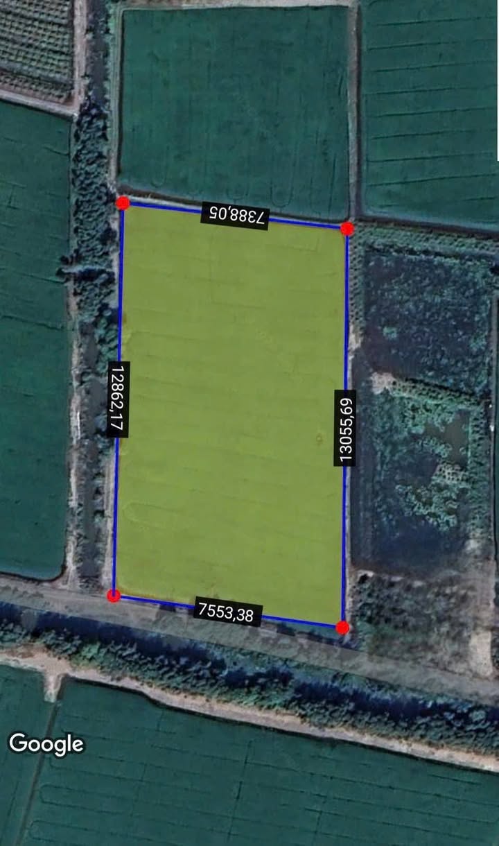 Đất lúa Long Thạnh Thủ Thừa 3600m² - Sổ đỏ chính chủ