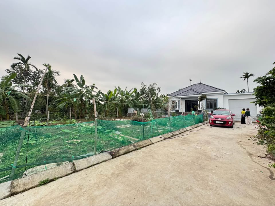 Đất nền Quán Trang - An Trường, Hải An: 65m² - Sổ đỏ chính chủ, sát KCN Tràng Duệ