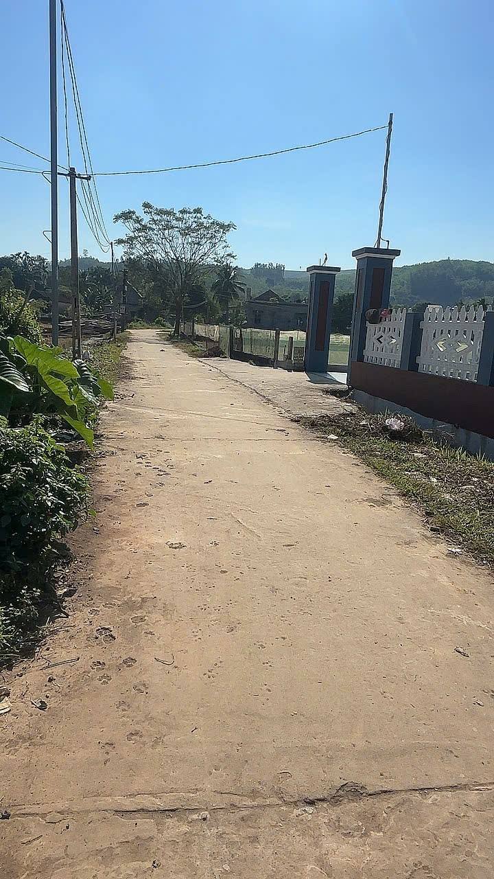 Đất nền Thạch Thành 115m² - Hơn 100 Triệu/Lô - Sổ Hồng Sẵn Sàng