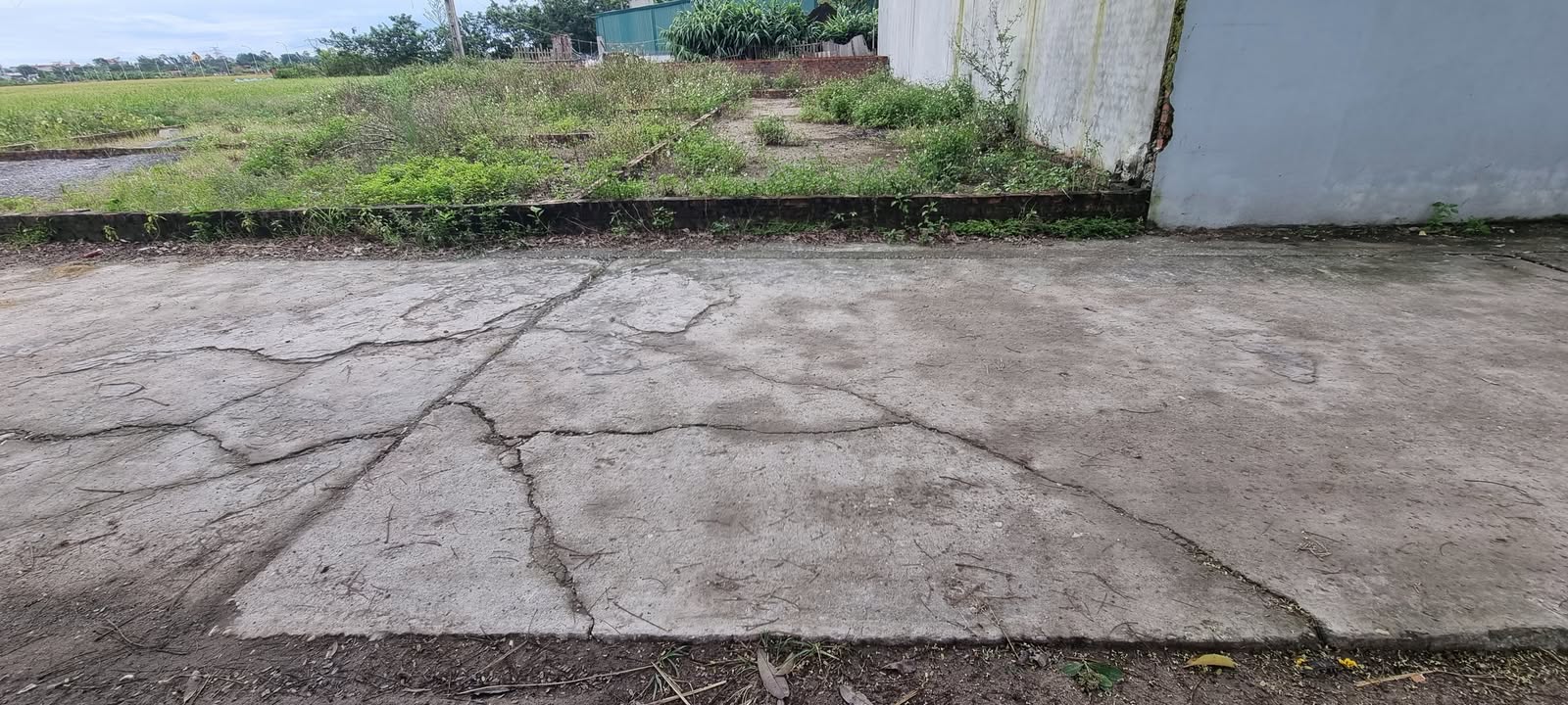 Đất Nền Đông Anh - 50.4m² Sổ Hồng Sẵn Sàng - View Đồng Thoáng Mát