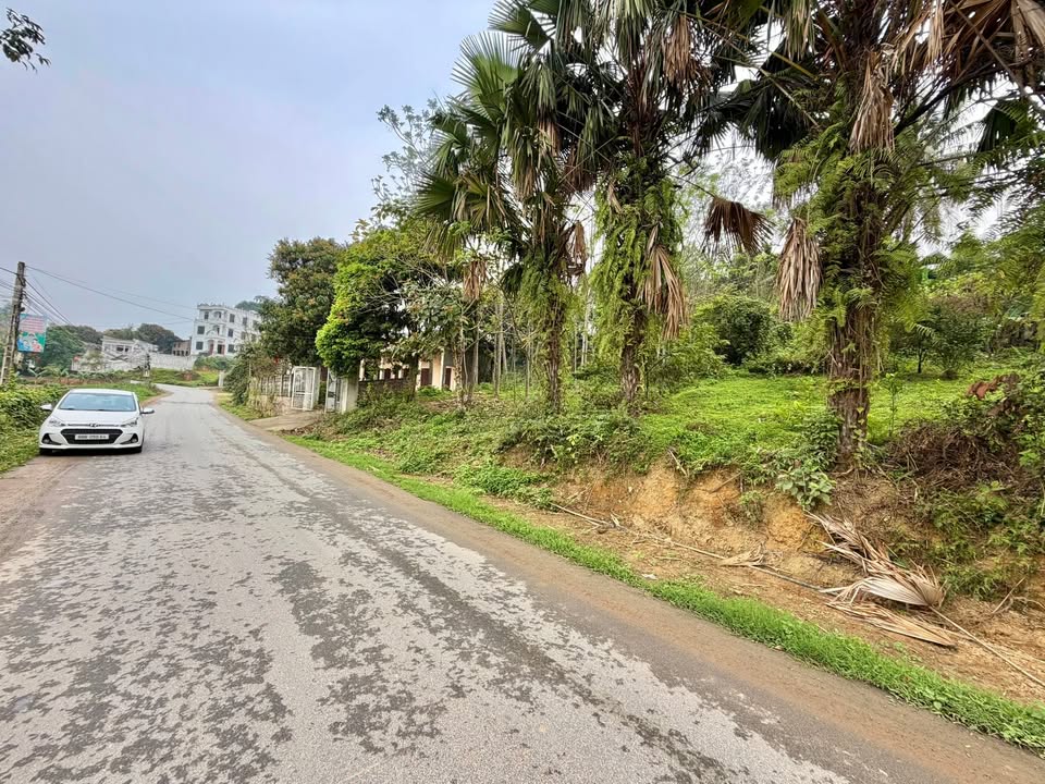 Đất Thổ Cư 442m² Mặt Tiền Huyện Lộ 75, Tam Nông, Phú Thọ - Giá Tốt Đầu Tư