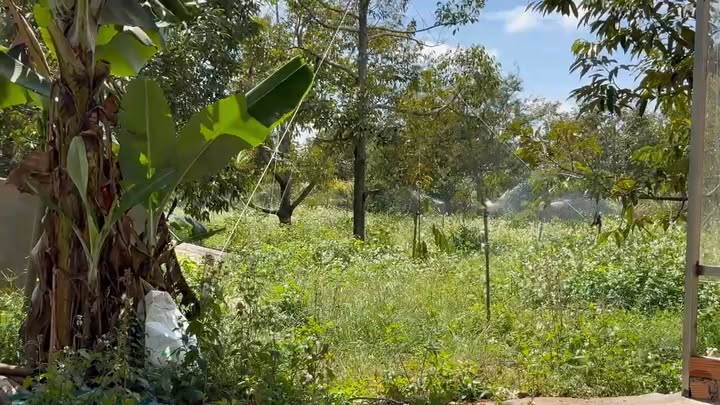 Rẫy Ea Kênh, Krông Pắc 2160m² giá 6.3 tỷ - Đầu tư sinh lời ngay!