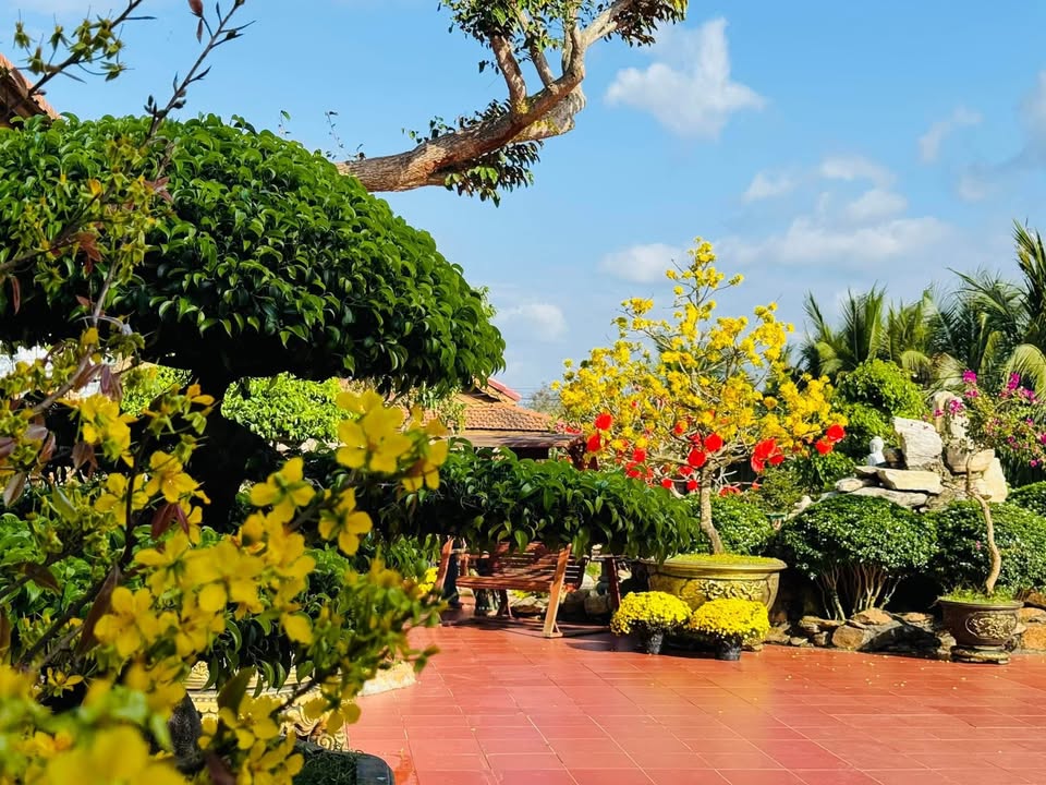 Đất Vườn Krông Pắc 10.000m² - Nghỉ Dưỡng Lý Tưởng, Sinh Lời Hấp Dẫn!