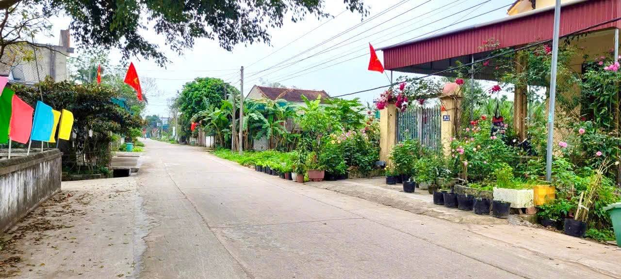 Đất nền Triệu Sơn 196m² - Mặt tiền 7m, full thổ cư, đối diện nhà văn hóa