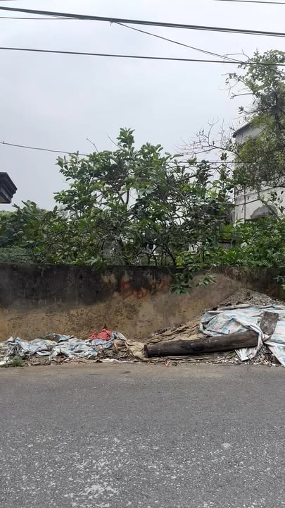 Đất nền Thị trấn Hà Trung 250m² - Tiềm năng tăng giá vượt trội!