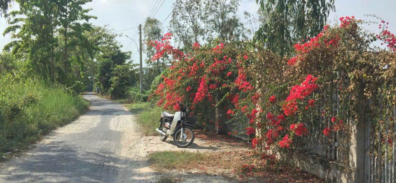 Bán Đất Vườn 1000m² Long Xuyên - Sẵn Sàng Làm Trang Trại, Kho Xưởng