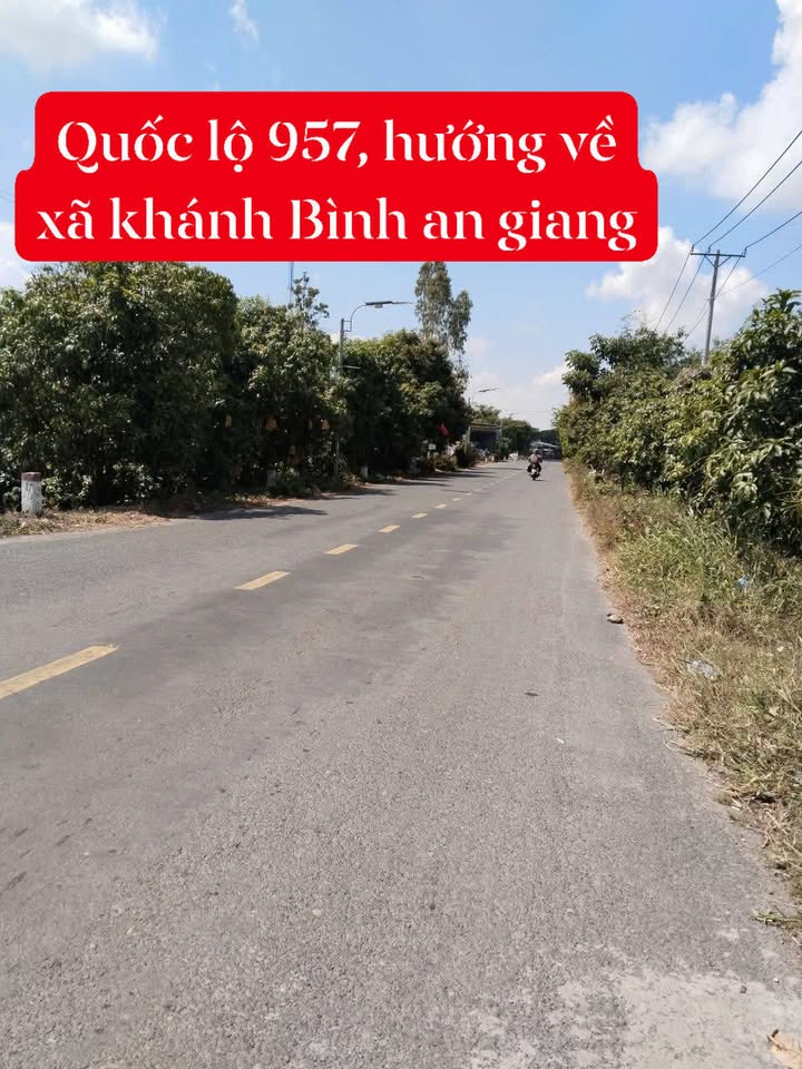 Bán Gấp Vườn Xoài 400m² Thổ Cư Mặt Tiền Lộ 957 An Giang - Giá 3.5 Tỷ