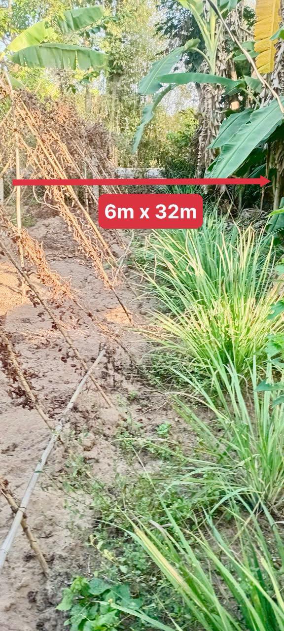 Đất nền Kênh Mặc Cần Dầu Lớn Long Xuyên 174m² Sổ hồng chính chủ