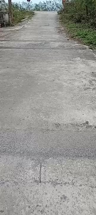 Đất Nền Tiền Hải 99.5m² - Gần Bờ Đê, Sổ Đỏ Sẵn Sàng