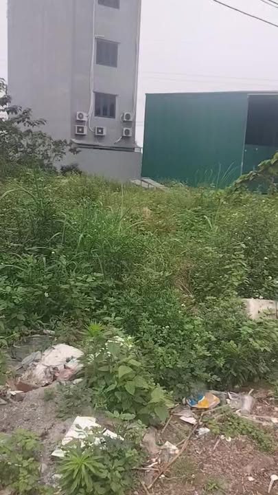 Đất nền Lạc Đạo, Văn Lâm 75m² - Vị trí vàng, đầu tư sinh lời!