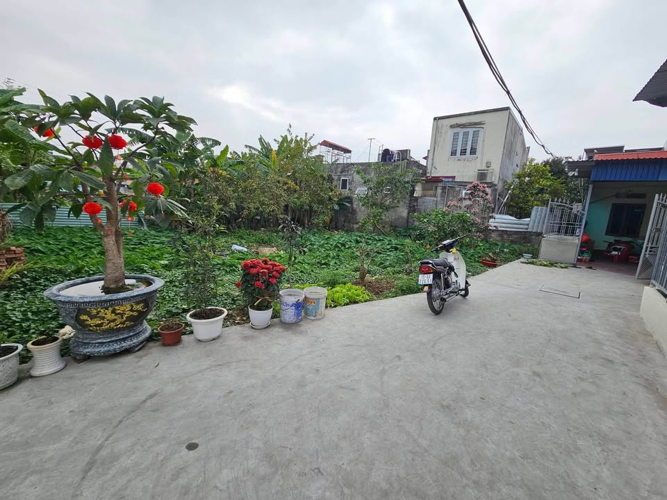 Bán Đất Lô Góc Đẩu Phượng-Phù Liễn, 50m², Sổ Đỏ, Giá 1.3 Tỷ