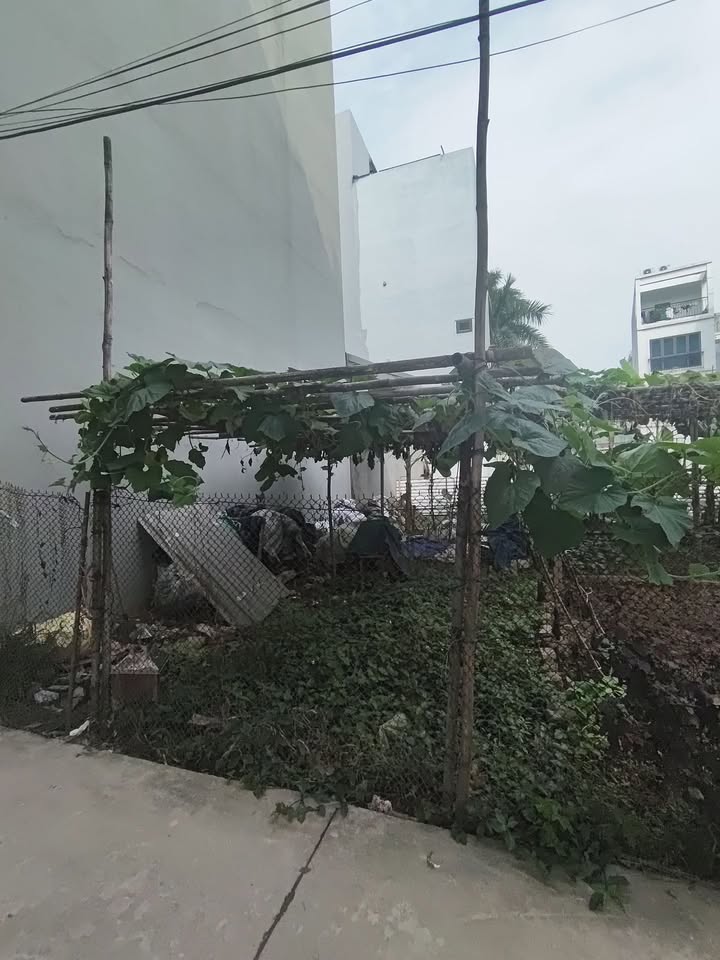 Bán Đất Vàng Phúc Lợi 128m² - Sổ Đỏ Sẵn Sàng - Giá 5 Tỷ