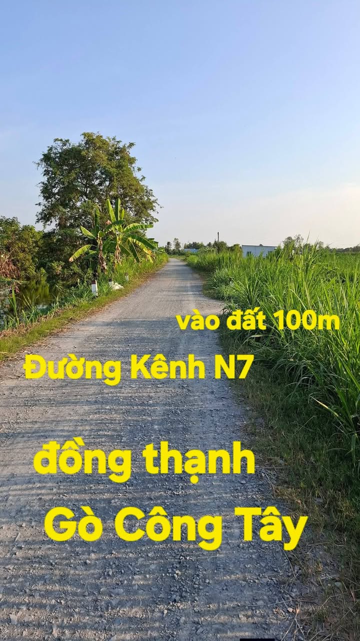 Đất nền 2000m² Đồng Thạnh, Gò Công Tây - Tiềm năng tăng giá vượt trội!